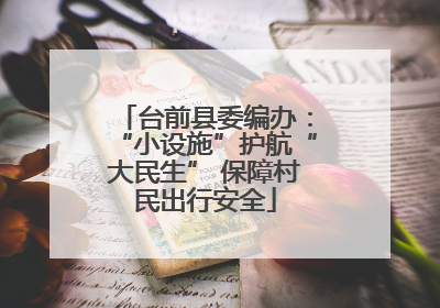 台前县委编办：“小设施”护航“大民生” 保障村民出行安全