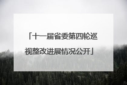 十一届省委第四轮巡视整改进展情况公开