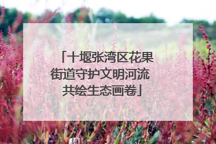 十堰张湾区花果街道守护文明河流 共绘生态画卷