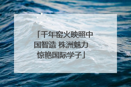 千年窑火映照中国智造 株洲魅力惊艳国际学子