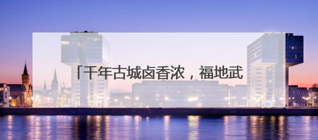 千年古城卤香浓，福地武冈在长沙举办旅游推介会