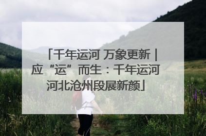 千年运河 万象更新｜应“运”而生：千年运河河北沧州段展新颜