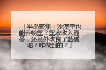 半岛聚焦丨沙漠里也能养螃蟹？蟹农收入翻番，还意外改良了盐碱地？咋做到的？