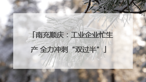 南充顺庆：工业企业忙生产 全力冲刺“双过半”