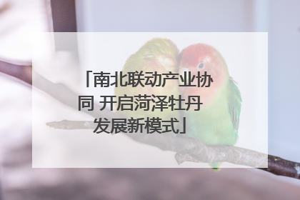 南北联动产业协同 开启菏泽牡丹发展新模式