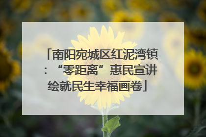 南阳宛城区红泥湾镇：“零距离”惠民宣讲 绘就民生幸福画卷