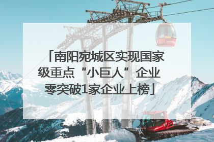 南阳宛城区实现国家级重点“小巨人”企业零突破1家企业上榜