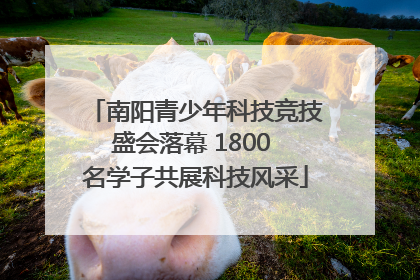 南阳青少年科技竞技盛会落幕 1800 名学子共展科技风采