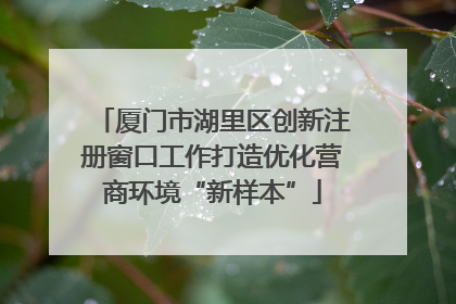 厦门市湖里区创新注册窗口工作打造优化营商环境“新样本”