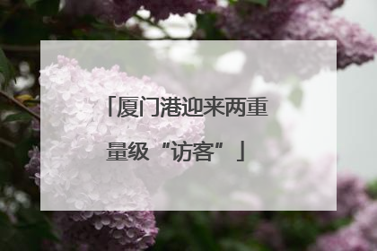 厦门港迎来两重量级“访客”