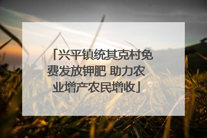 兴平镇统其克村免费发放钾肥 助力农业增产农民增收