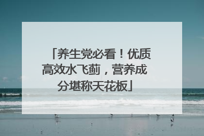 养生党必看！优质高效水飞蓟，营养成分堪称天花板