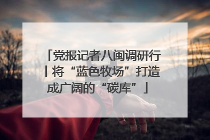 党报记者八闽调研行丨将“蓝色牧场”打造成广阔的“碳库”