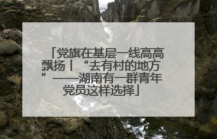 党旗在基层一线高高飘扬丨“去有村的地方”——湖南有一群青年党员这样选择