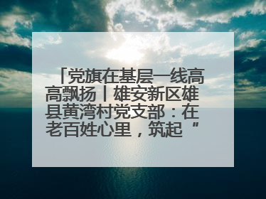 党旗在基层一线高高飘扬丨雄安新区雄县黄湾村党支部：在老百姓心里，筑起“一座山”