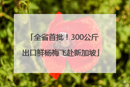 全省首批！300公斤出口鲜杨梅飞赴新加坡