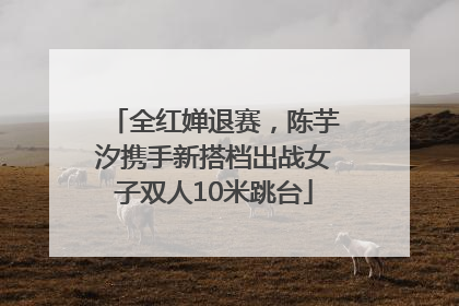 全红婵退赛，陈芋汐携手新搭档出战女子双人10米跳台