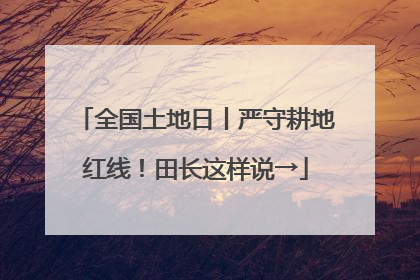 全国土地日丨严守耕地红线！田长这样说→