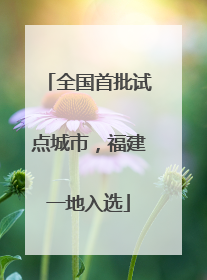 全国首批试点城市，福建一地入选