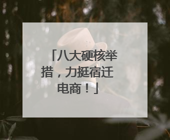 八大硬核举措，力挺宿迁电商！