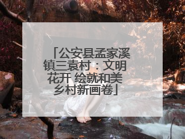 公安县孟家溪镇三袁村：文明花开 绘就和美乡村新画卷