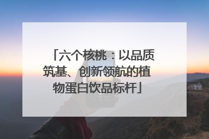 六个核桃：以品质筑基、创新领航的植物蛋白饮品标杆