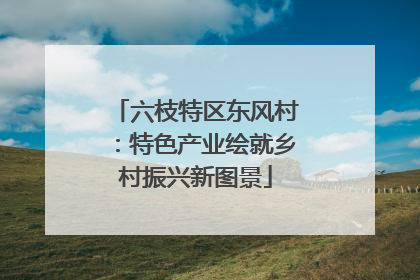 六枝特区东风村：特色产业绘就乡村振兴新图景
