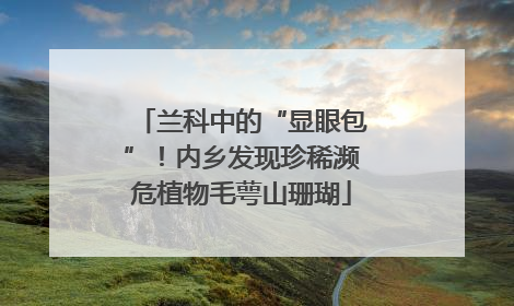 兰科中的“显眼包”！内乡发现珍稀濒危植物毛萼山珊瑚