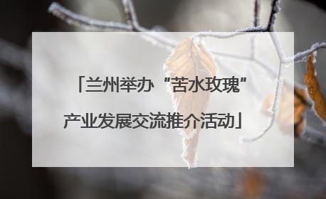 兰州举办“苦水玫瑰”产业发展交流推介活动