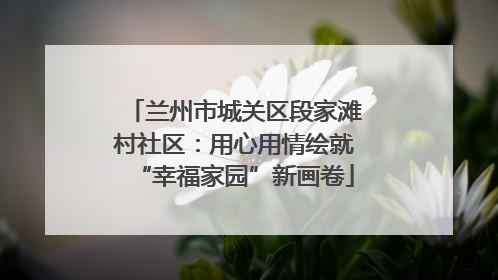 兰州市城关区段家滩村社区：用心用情绘就“幸福家园”新画卷