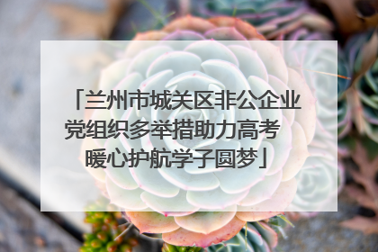 兰州市城关区非公企业党组织多举措助力高考 暖心护航学子圆梦