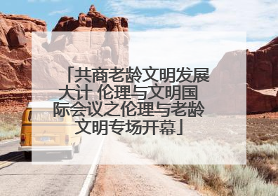 共商老龄文明发展大计 伦理与文明国际会议之伦理与老龄文明专场开幕