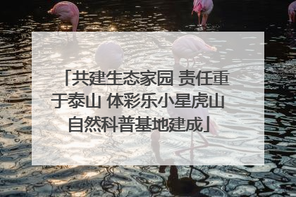 共建生态家园 责任重于泰山 体彩乐小星虎山自然科普基地建成