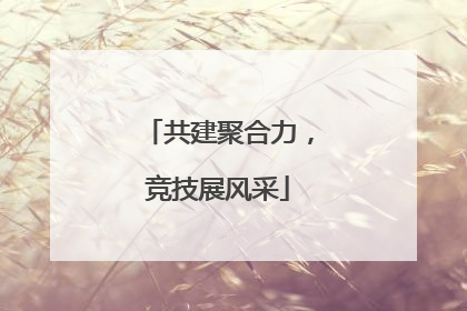 共建聚合力，竞技展风采