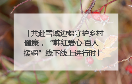 共赴雪域边疆守护乡村健康，“韩红爱心·百人援疆”线下线上进行时