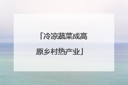 冷凉蔬菜成高原乡村热产业