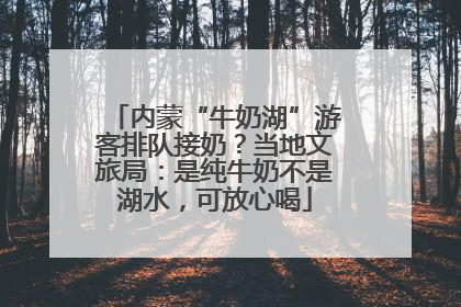 内蒙“牛奶湖”游客排队接奶？当地文旅局：是纯牛奶不是湖水，可放心喝