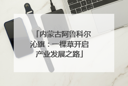 内蒙古阿鲁科尔沁旗：一棵草开启产业发展之路