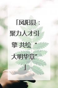 凤阳县：聚力人才引擎 共绘“大明华章”