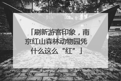 刷新游客印象，南京红山森林动物园凭什么这么“红”