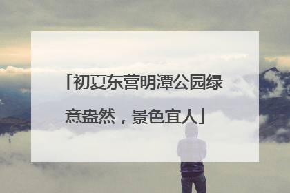 初夏东营明潭公园绿意盎然，景色宜人