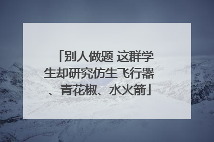 别人做题 这群学生却研究仿生飞行器、青花椒、水火箭