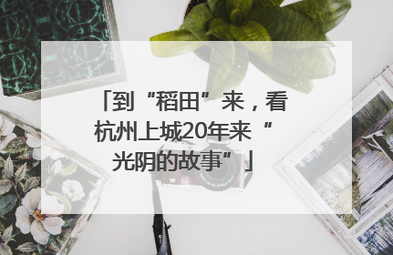 到“稻田”来，看杭州上城20年来“光阴的故事”