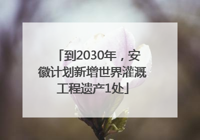 到2030年，安徽计划新增世界灌溉工程遗产1处