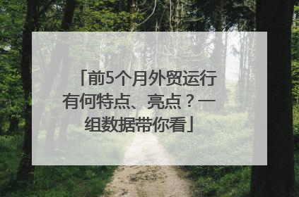 前5个月外贸运行有何特点、亮点？一组数据带你看