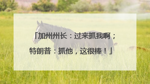 加州州长：过来抓我啊；特朗普：抓他，这很棒！