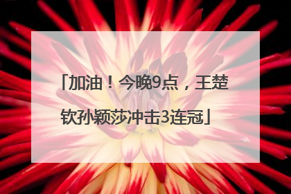加油！今晚9点，王楚钦孙颖莎冲击3连冠