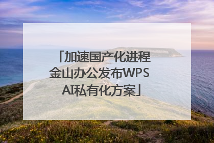 加速国产化进程 金山办公发布WPS AI私有化方案