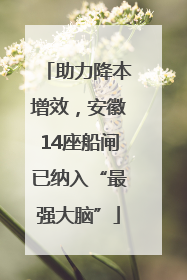 助力降本增效，安徽14座船闸已纳入“最强大脑”