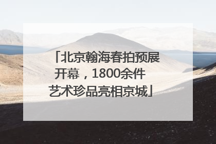 北京翰海春拍预展开幕，1800余件艺术珍品亮相京城